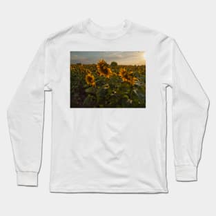 Sunflowers Long Sleeve T-Shirt